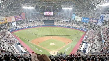 ¿Por qué los coreanos juegan beisbol?