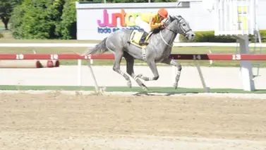 Mejor potro de 2023 reaparece en La Rinconada tras 56 días sin correr Mejor potro de 2023 reaparece en La Rinconada tras 56 días sin correr