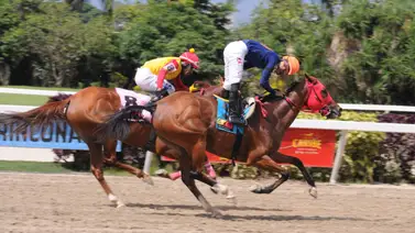 Esta purasangre reaparece luego de 147 días sin correr en el óvalo de Coche Esta purasangre reaparece luego de 147 días sin correr en el óvalo de Coche