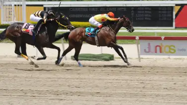 Mira lo que le pasó a Sylvanella en su carrera del domingo en La Rinconada Mira lo que le pasó a Sylvanella en su carrera del domingo en La Rinconada