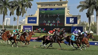 Aquí el Best Bet y los Tips para Gulfstream Park 20-03-2024