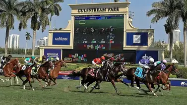 Aquí el Best Bet y los Tips para Gulfstream Park 20-03-2024 Aquí el Best Bet y los Tips para Gulfstream Park 20-03-2024