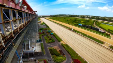 Allanan este hipódromo en el Caribe y encuentran armas y fármacos ilegales