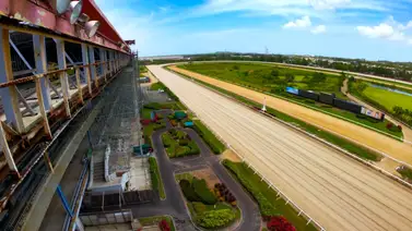 Allanan este hipódromo en el Caribe y encuentran armas y fármacos ilegales Allanan este hipódromo en el Caribe y encuentran armas y fármacos ilegales