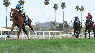 Jockey venezolano se afianza como líder de la estadística en este hipódromo de Estados Unidos 