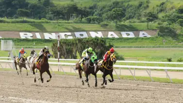 Sandovalera será madre pronto y este fue el semental que la sirvió Sandovalera será madre pronto y este fue el semental que la sirvió
