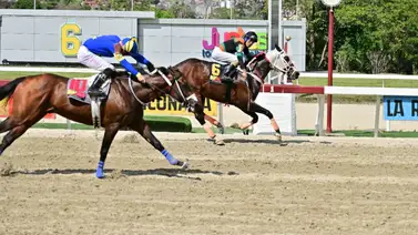 Entrenador que no gana desde septiembre de 2023 con mucha opción de acabar esa mala racha Entrenador que no gana desde septiembre de 2023 con mucha opción de acabar esa mala racha