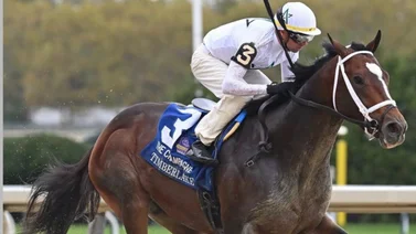 Potro Líder en la Tabla del Kentucky Derby correrá esta clasificatoria