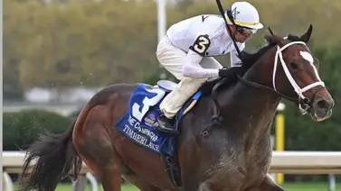 Potro Líder en la Tabla del Kentucky Derby correrá esta clasificatoria Potro Líder en la Tabla del Kentucky Derby correrá esta clasificatoria
