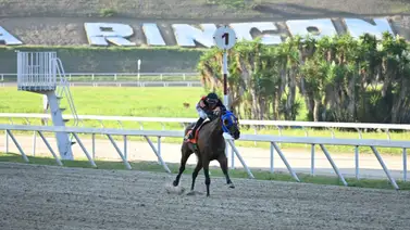 Esta tresañera tiene gran oportunidad de llevarse la condicional para yeguas Esta tresañera tiene gran oportunidad de llevarse la condicional para yeguas