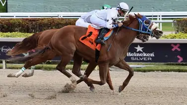 Empresa de entrenador venezolano se acoge a capítulo de quiebra en Estados Unidos Empresa de entrenador venezolano se acoge a capítulo de quiebra en Estados Unidos