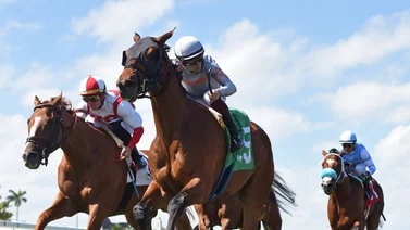 Así quedaron los resultados de las carreras Gulfstream Park 20-3-2024