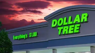 8 productos de uso diario disponibles en Dollar Tree 8 productos de uso diario disponibles en Dollar Tree