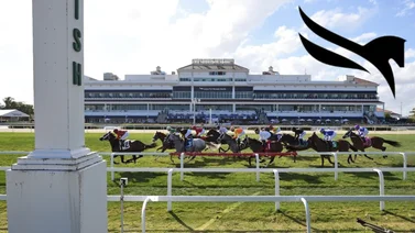 Este fue el jockey más destacado de las carreras Gulfstream Park 20-3-2024