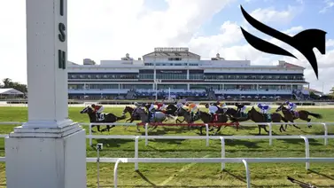 Este fue el jockey más destacado de las carreras Gulfstream Park 20-3-2024 Este fue el jockey más destacado de las carreras Gulfstream Park 20-3-2024