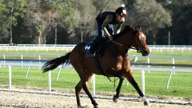 Samuel Marín pegó el batacazo del miércoles en este óvalo de Estados Unidos Samuel Marín pegó el batacazo del miércoles en este óvalo de Estados Unidos