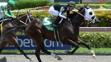 Gulfstream Park anuncia calendario y premiación de los meetings de 2024 Gulfstream Park anuncia calendario y premiación de los meetings de 2024