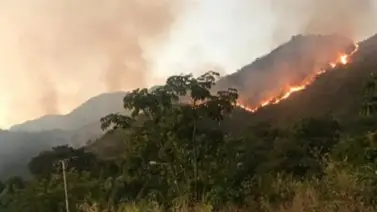 Así de grave esta la situación con el Parque Henri Pitier (+Vídeo) Así de grave esta la situación con el Parque Henri Pitier (+Vídeo)