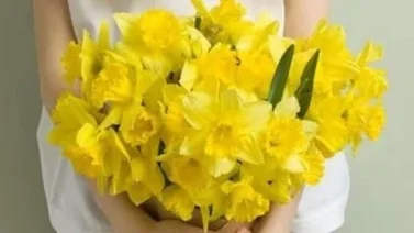 ¿Cuál es el origen y significado de regalar flores amarillas en esta fecha?