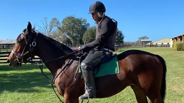Yearling más caro vendido en 2022 en USA debuta en Santa Anita Park 