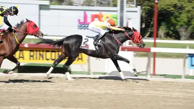 Este fue el ajuste de Deep Attack que corre el domingo en La Rinconada Este fue el ajuste de Deep Attack que corre el domingo en La Rinconada