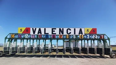 Estos son los primeros retirados de la Reunión N* 6 del hipódromo de Valencia