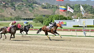 Mira el ajuste del segundo favorito de Gaceta Hípica Mira el ajuste del segundo favorito de Gaceta Hípica