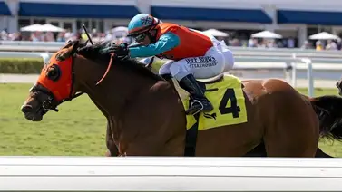 Javier Castellano mata en la raya y paga el mejor dividendo en Gulfstream Park Javier Castellano mata en la raya y paga el mejor dividendo en Gulfstream Park