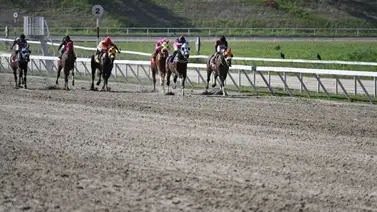 Mira el ajuste de esta yegua de Fernando Parilli Araujo que corre el domingo Mira el ajuste de esta yegua de Fernando Parilli Araujo que corre el domingo