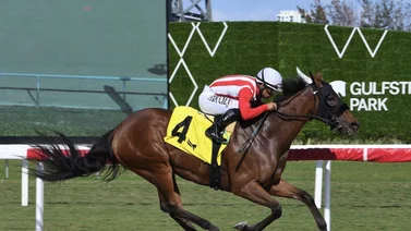 Así quedaron los resultados de las carreras Gulfstream Park 21-3-2024