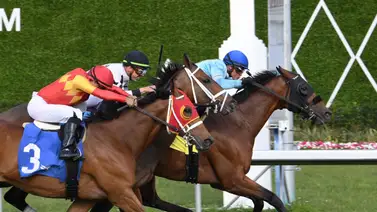 Este fue el jockey más destacado de las carreras Gulfstream Park 21-3-2024 Este fue el jockey más destacado de las carreras Gulfstream Park 21-3-2024