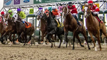 Aquí la selección para el Pick Six con 6 stakes Fair Grounds 23-03-2024