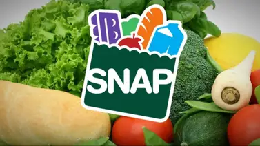 Cupones SNAP: ¿Quiénes recibirán 1.751 dólares en los próximos días? Cupones SNAP: ¿Quiénes recibirán 1.751 dólares en los próximos días?