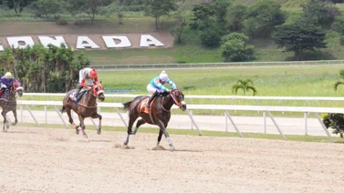 Abraham Campos puede conseguir el primer triunfo de la temporada con esta yegua que ajustó excelente