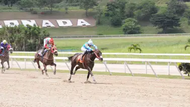 Abraham Campos puede conseguir el primer triunfo de la temporada con esta yegua que ajustó excelente Abraham Campos puede conseguir el primer triunfo de la temporada con esta yegua que ajustó excelente