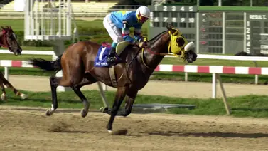 Mira este dato que seguro no sabes de My Own Business Mira este dato que seguro no sabes de My Own Business