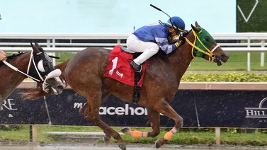 Edgar Pérez da la cara por los venezolanos este viernes en Gulfstream Park