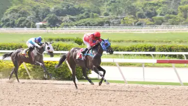 Así ajustó esta yegua con la que no te puedes caer en el 5y6 del domingo Así ajustó esta yegua con la que no te puedes caer en el 5y6 del domingo