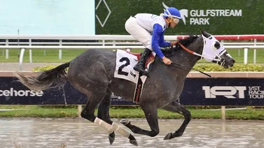 Trainer criollo vuelve a ganar una carrera este viernes en Gulfstream Park