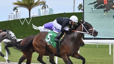 Así quedaron los resultados de las carreras Gulfstream Park 22-3-2024