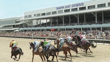Jockeys criollos dominaron este viernes en Tampa Bay Downs
