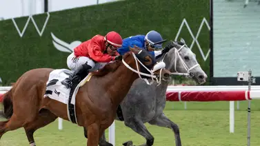 Este fue el jockey más destacado de las carreras Gulfstream Park 22-3-2024 Este fue el jockey más destacado de las carreras Gulfstream Park 22-3-2024