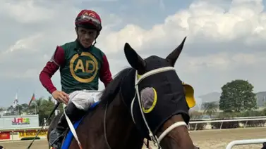 Batacazo y línea de José Gilberto Hernández para el 5y6 dominical (+video) Batacazo y línea de José Gilberto Hernández para el 5y6 dominical (+video)