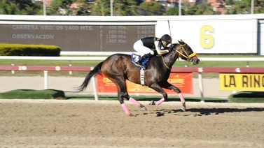 Datos de Última Hora para el Hipódromo La Rinconada 24-03-2024