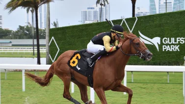 Emisael Jaramillo rueda en Gulfstream Park