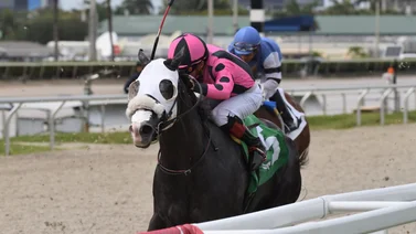 Emisael Jaramillo gana este importante Stakes en Gulfstream Park