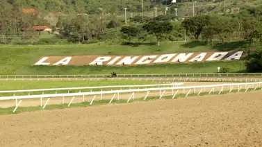 Estos son los retirados del hipódromo de La Rinconada 24-3-2024 Estos son los retirados del hipódromo de La Rinconada 24-3-2024