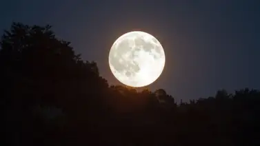 Noche mágica: Desde cualquier parte del mundo podrás ver lo que le pasará a la luna Noche mágica: Desde cualquier parte del mundo podrás ver lo que le pasará a la luna