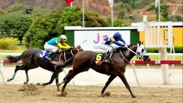 Conoce a los 12 ejemplares que correrán la Sexta válida de la Rinconada este domingo Conoce a los 12 ejemplares que correrán la Sexta válida de la Rinconada este domingo