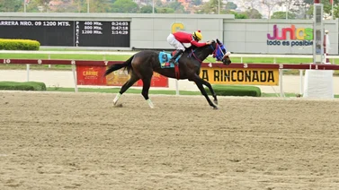 Esto ocurrió con Emma Princess luego de su carrera en La Rinconada